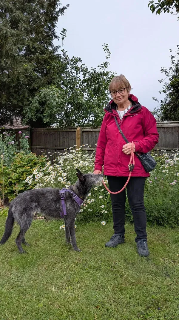 Jackie, Carer at House & Hound Suffolk